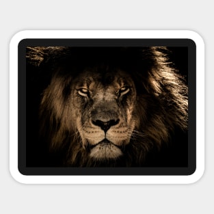 Be like a lion! Sticker